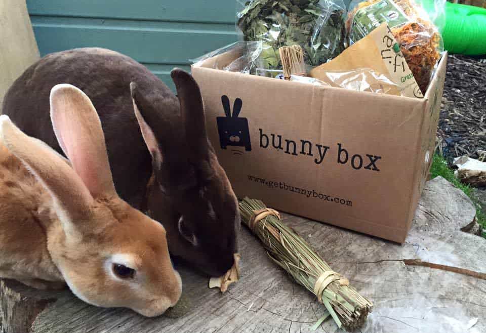 Bunny Box | All Subscription Boxes UK
