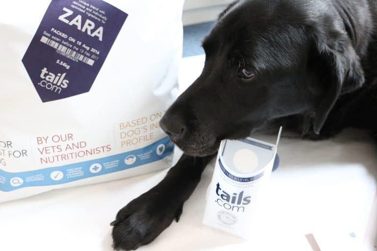 Tails dog food on sale price