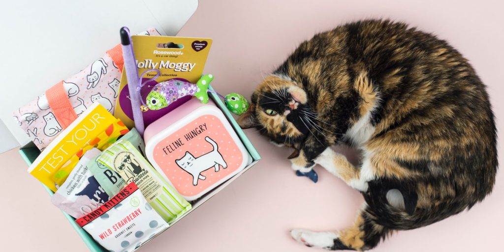 cat subscription box uk