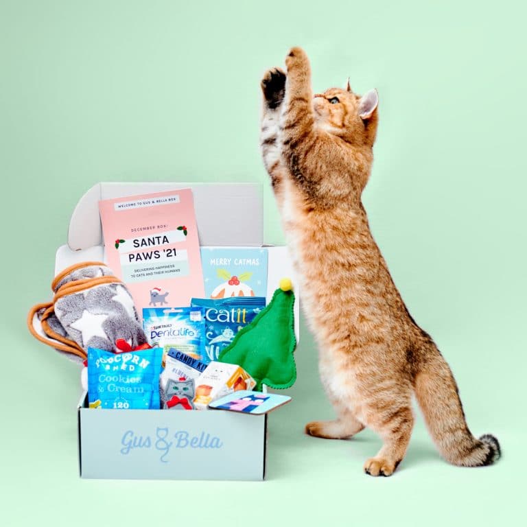 Cat subscription box best sale uk