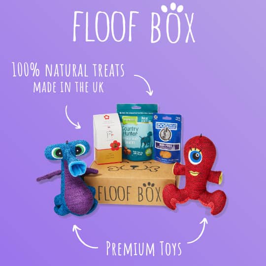 Dog treats and toys hot sale delivered