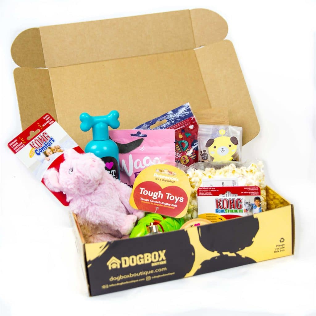 monthly dog box uk