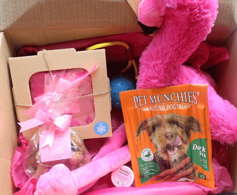 monthly dog box uk