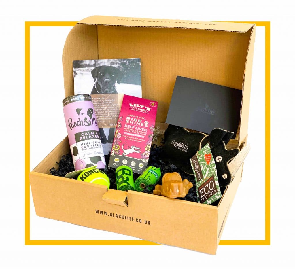 monthly dog box uk